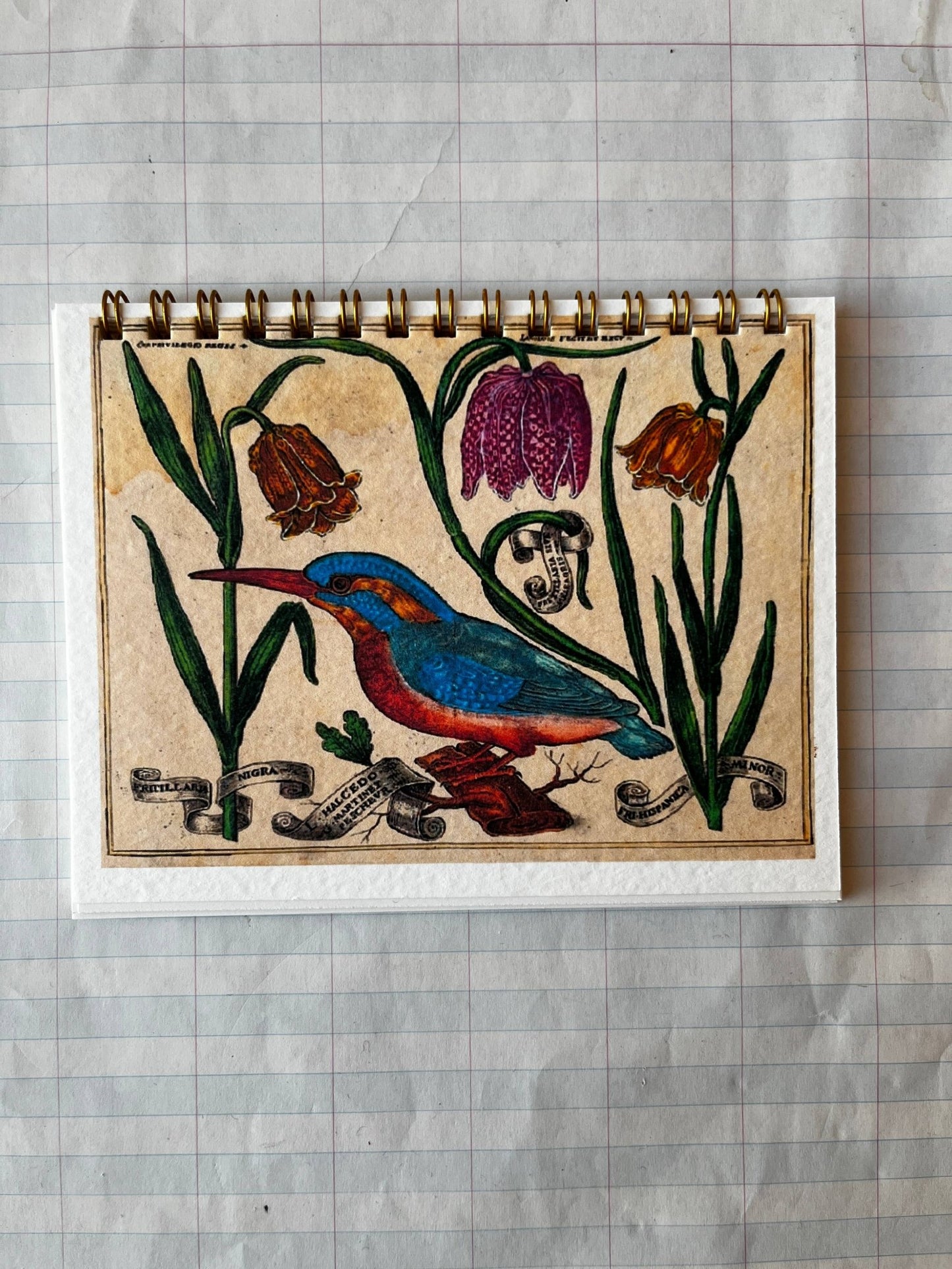 Bird and Flower Notebooks - Dear John