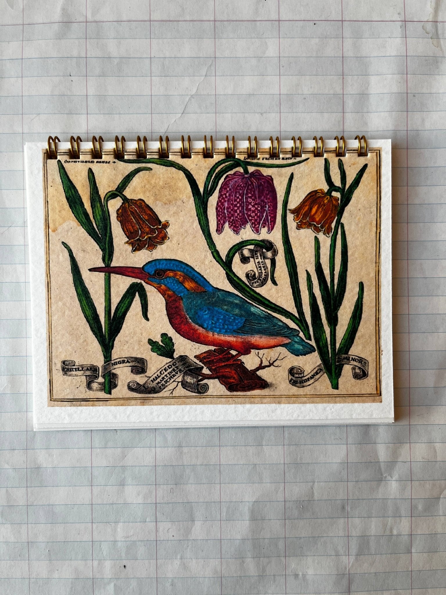 Bird and Flower Notebooks - Dear John