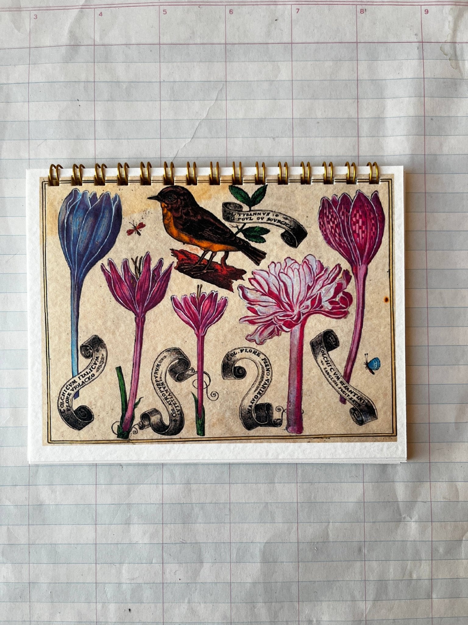 Bird and Flower Notebooks - Dear John