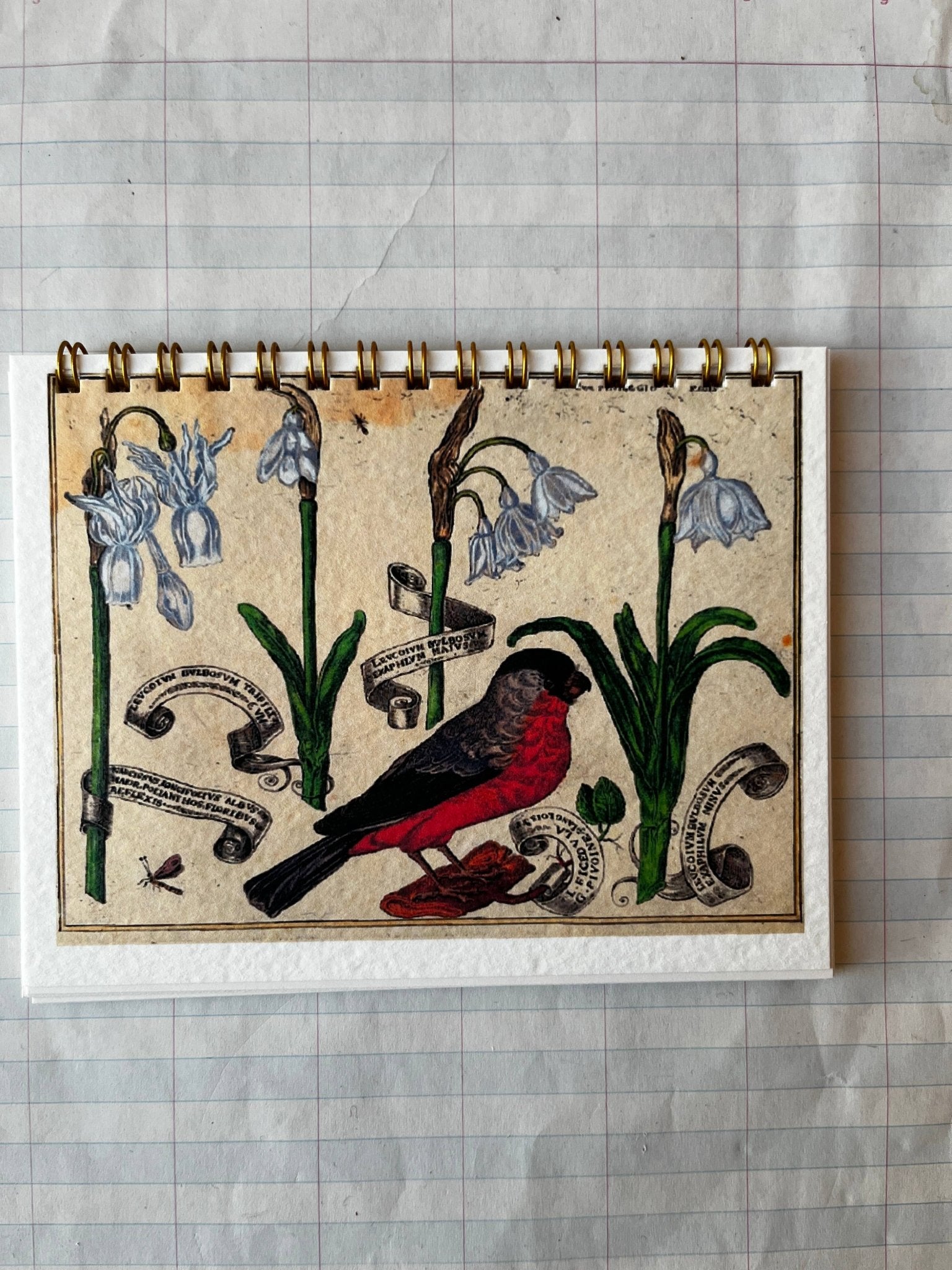 Bird and Flower Notebooks - Dear John
