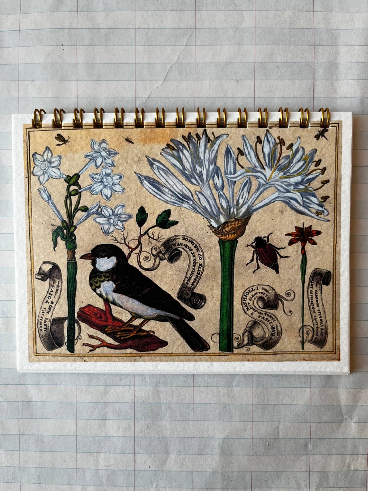 Bird and Flower Notebooks - Dear John