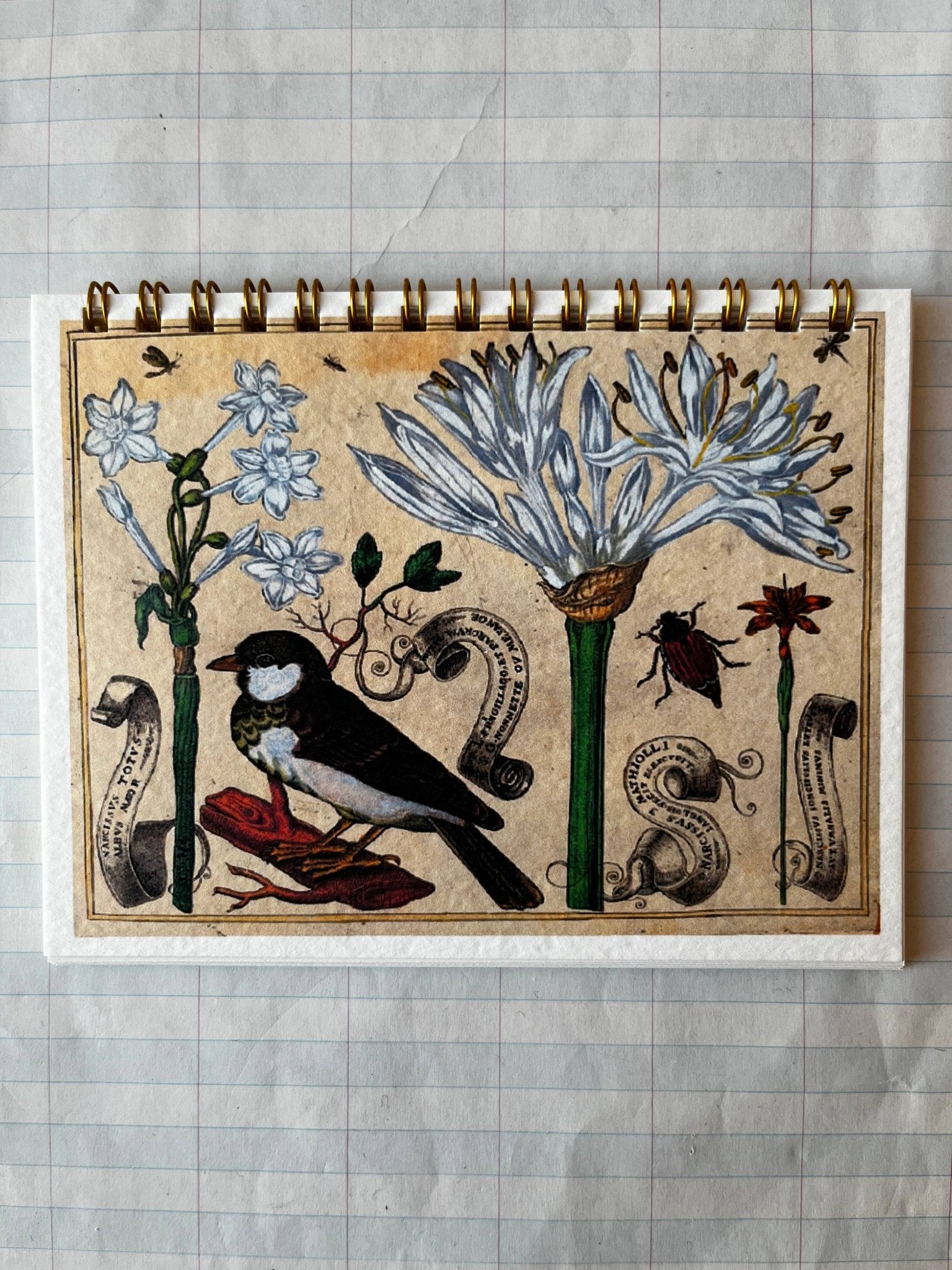 Bird and Flower Notebooks - Dear John