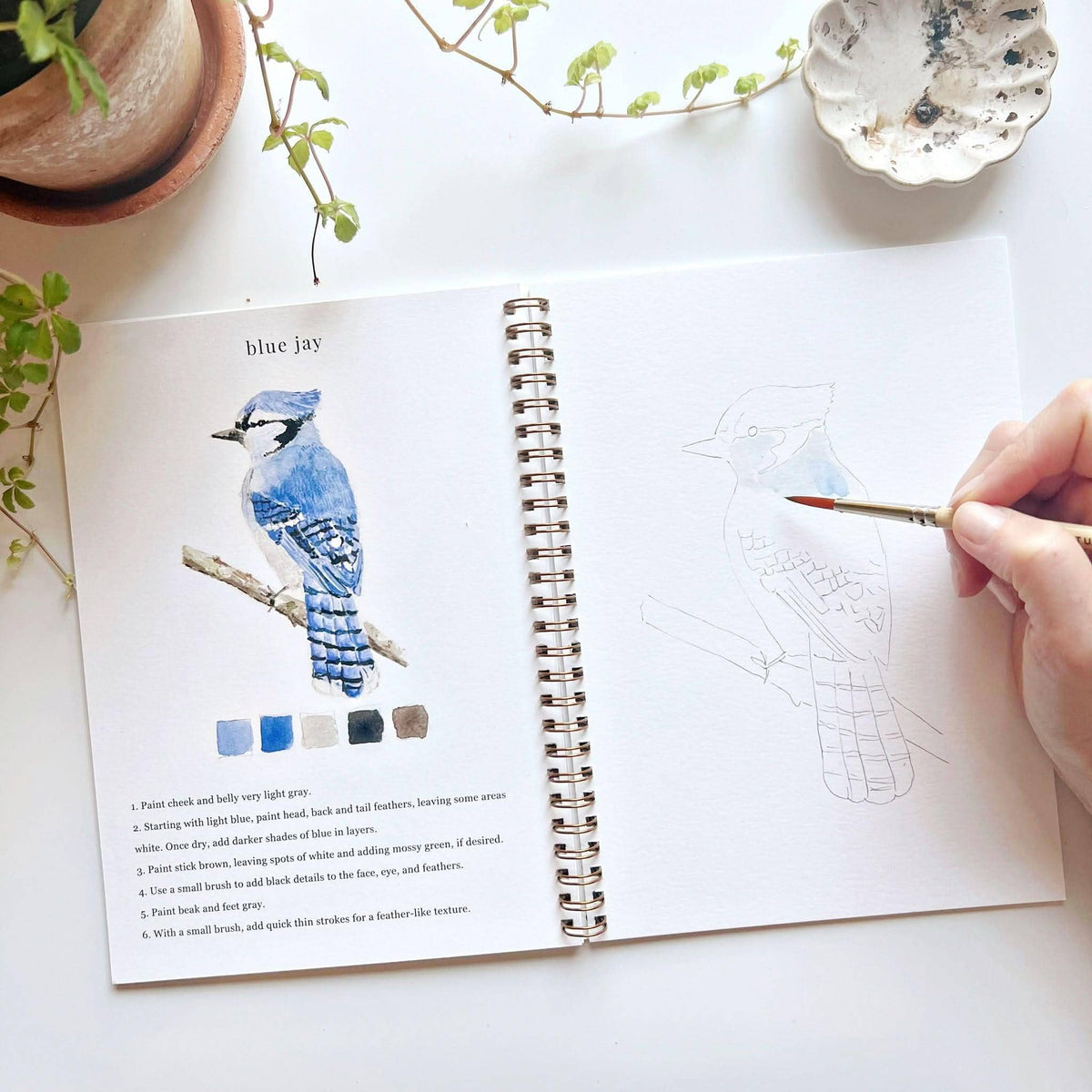 Birds watercolor workbook - Dear John
