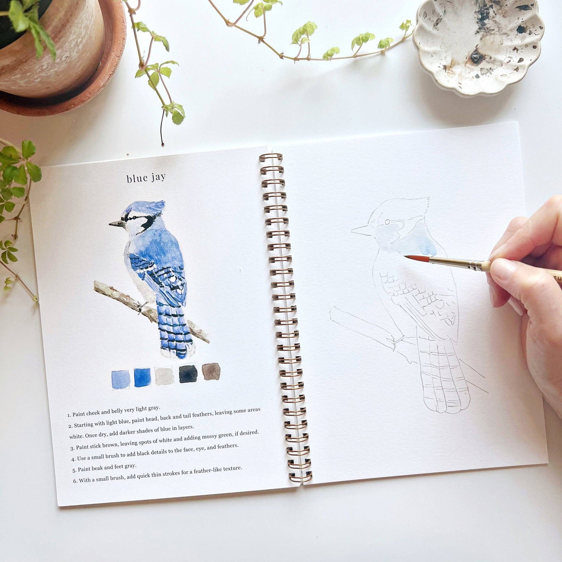 Birds watercolor workbook - Dear John