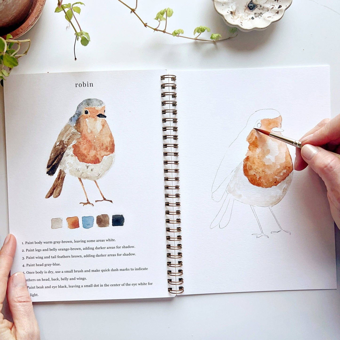 Birds watercolor workbook - Dear John