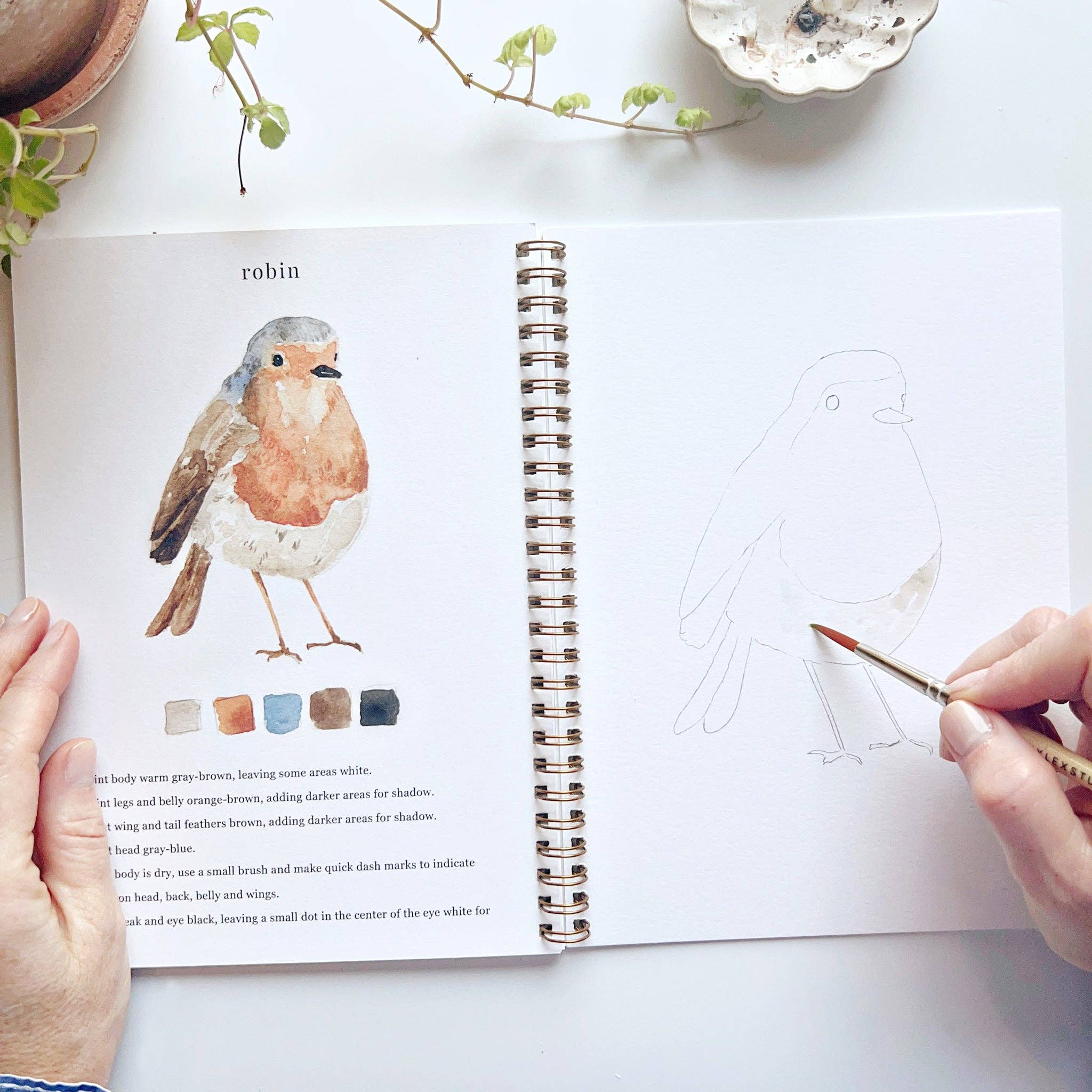Birds watercolor workbook - Dear John