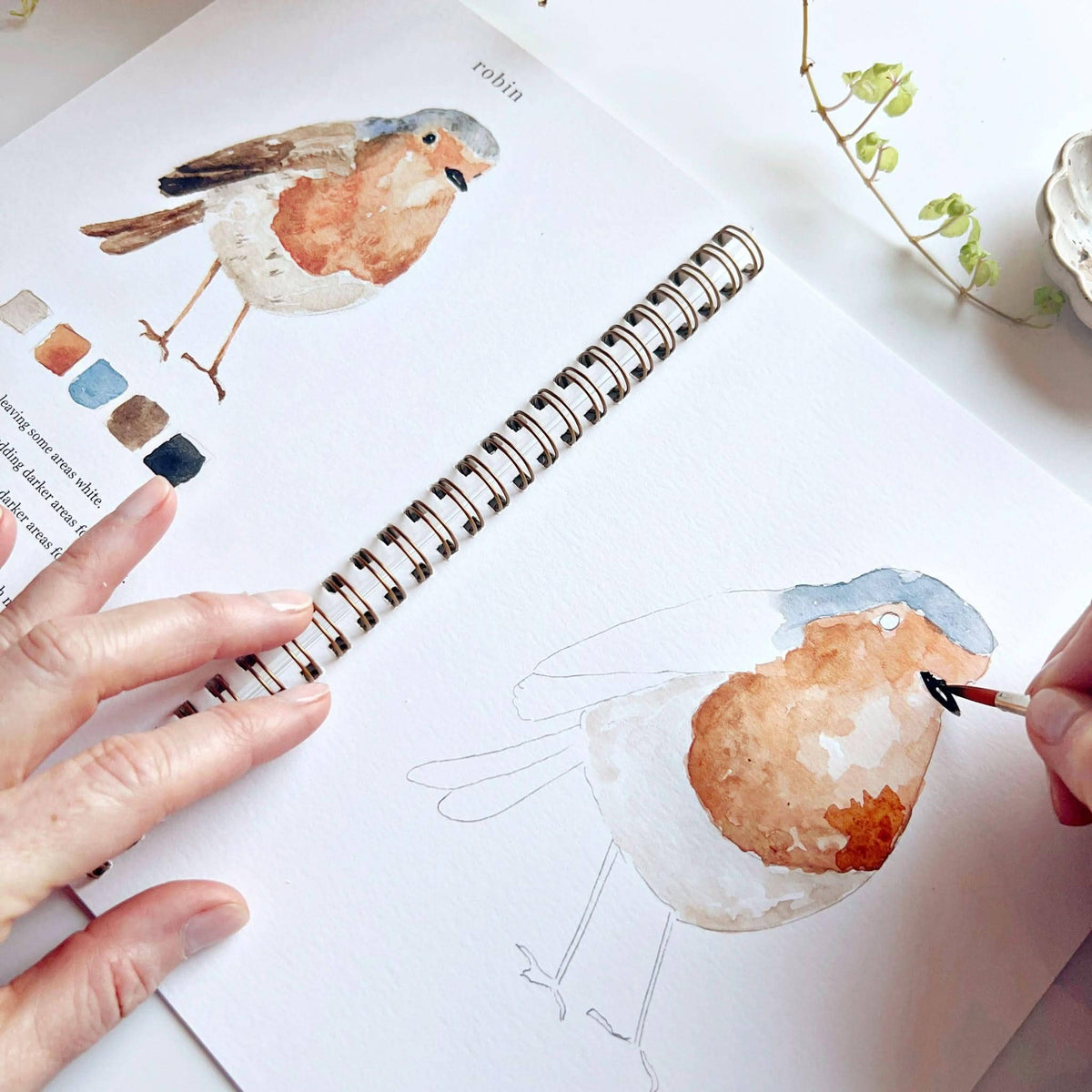 Birds watercolor workbook - Dear John