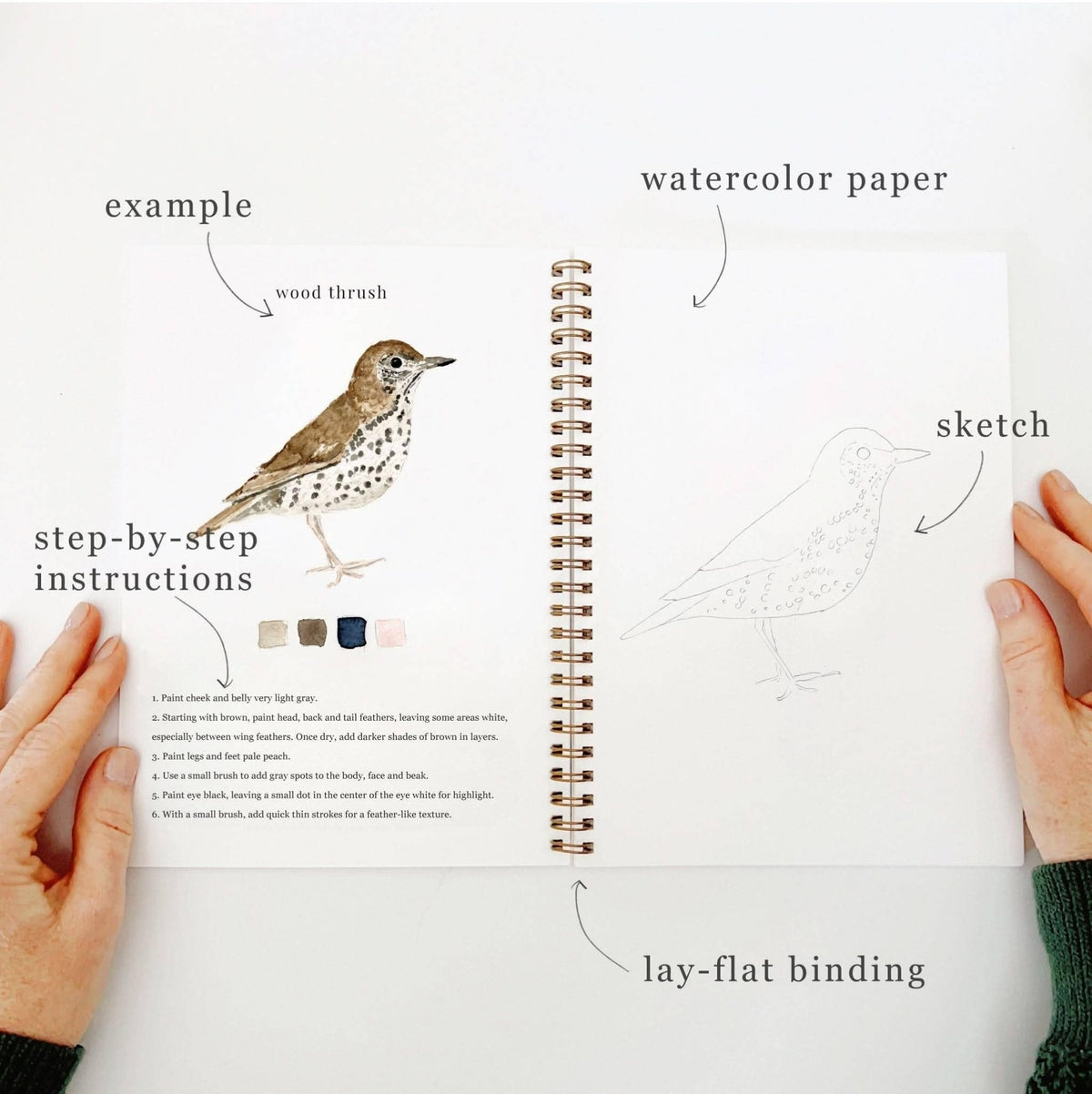 Birds watercolor workbook - Dear John