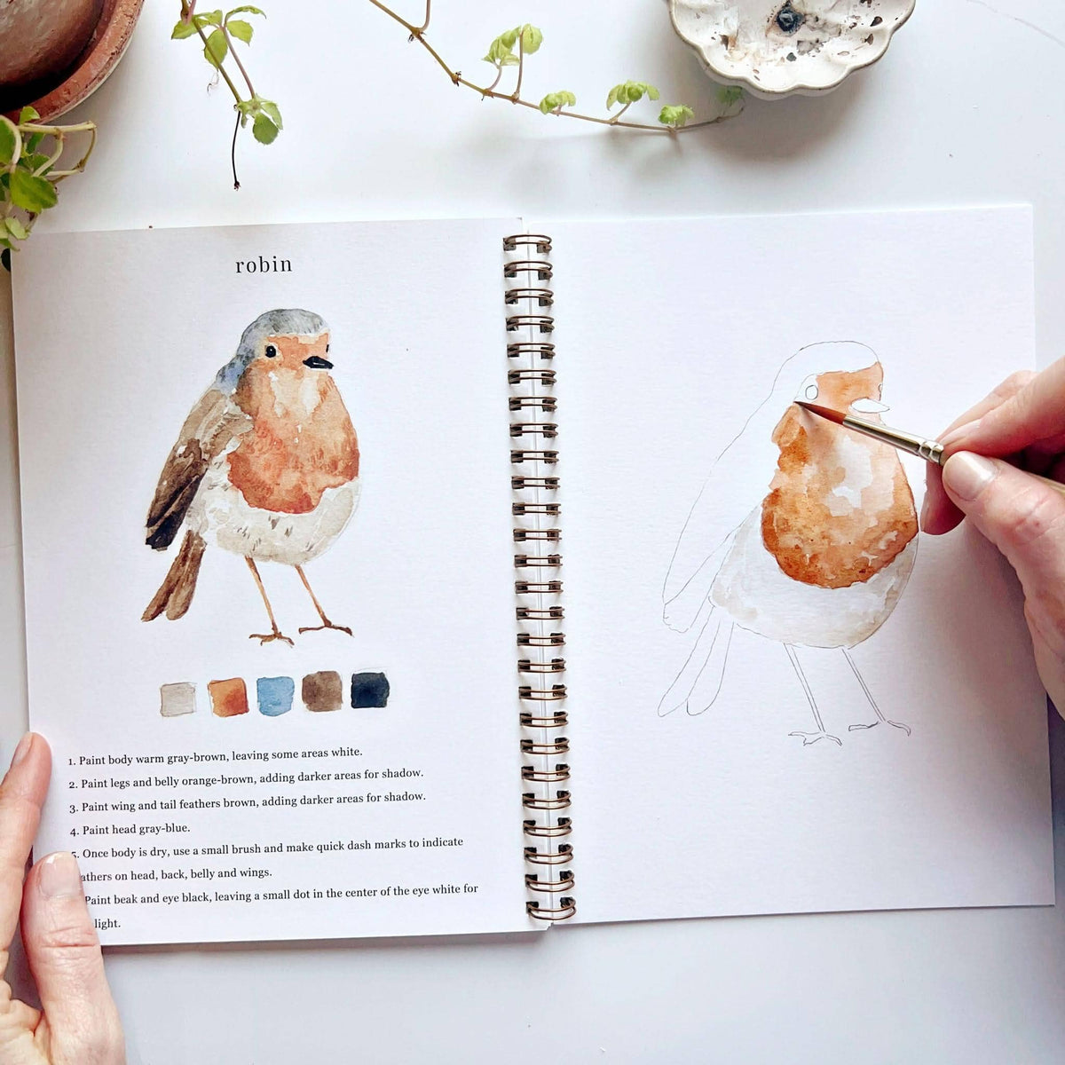 Birds watercolor workbook - Dear John
