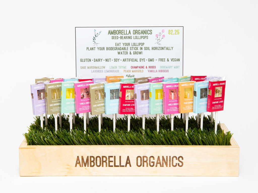 Blooming Lollipop Bundle (Eat, Plant & Grow an Herb/Flower) - Dear John