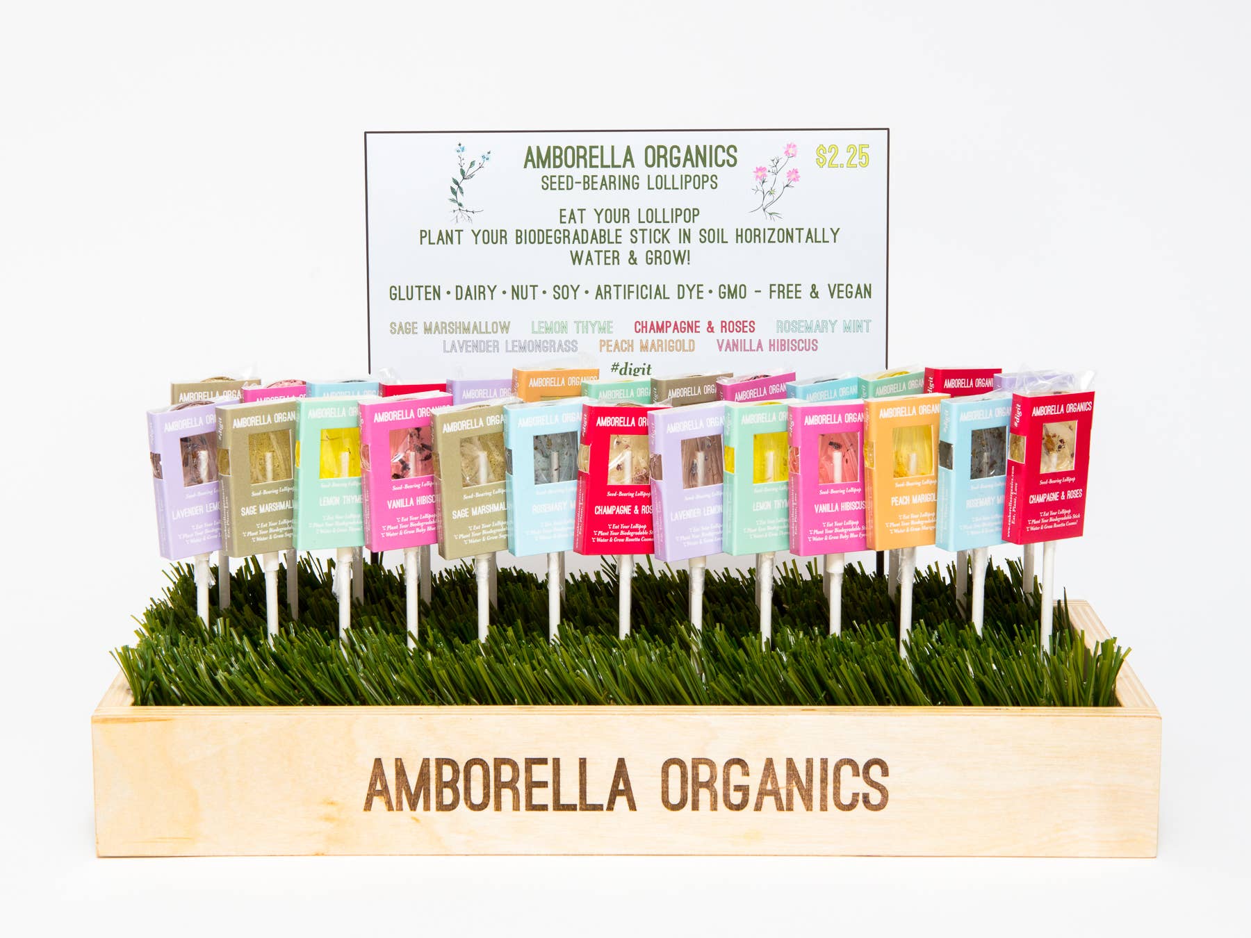 Blooming Lollipop Bundle (Eat, Plant & Grow an Herb/Flower) - Dear John