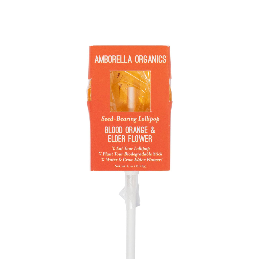 Blooming Lollipop Bundle (Eat, Plant & Grow an Herb/Flower) - Dear John