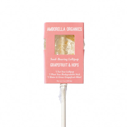 Blooming Lollipop Bundle (Eat, Plant & Grow an Herb/Flower) - Dear John