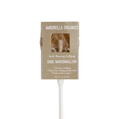 Blooming Lollipop Bundle (Eat, Plant & Grow an Herb/Flower) - Dear John