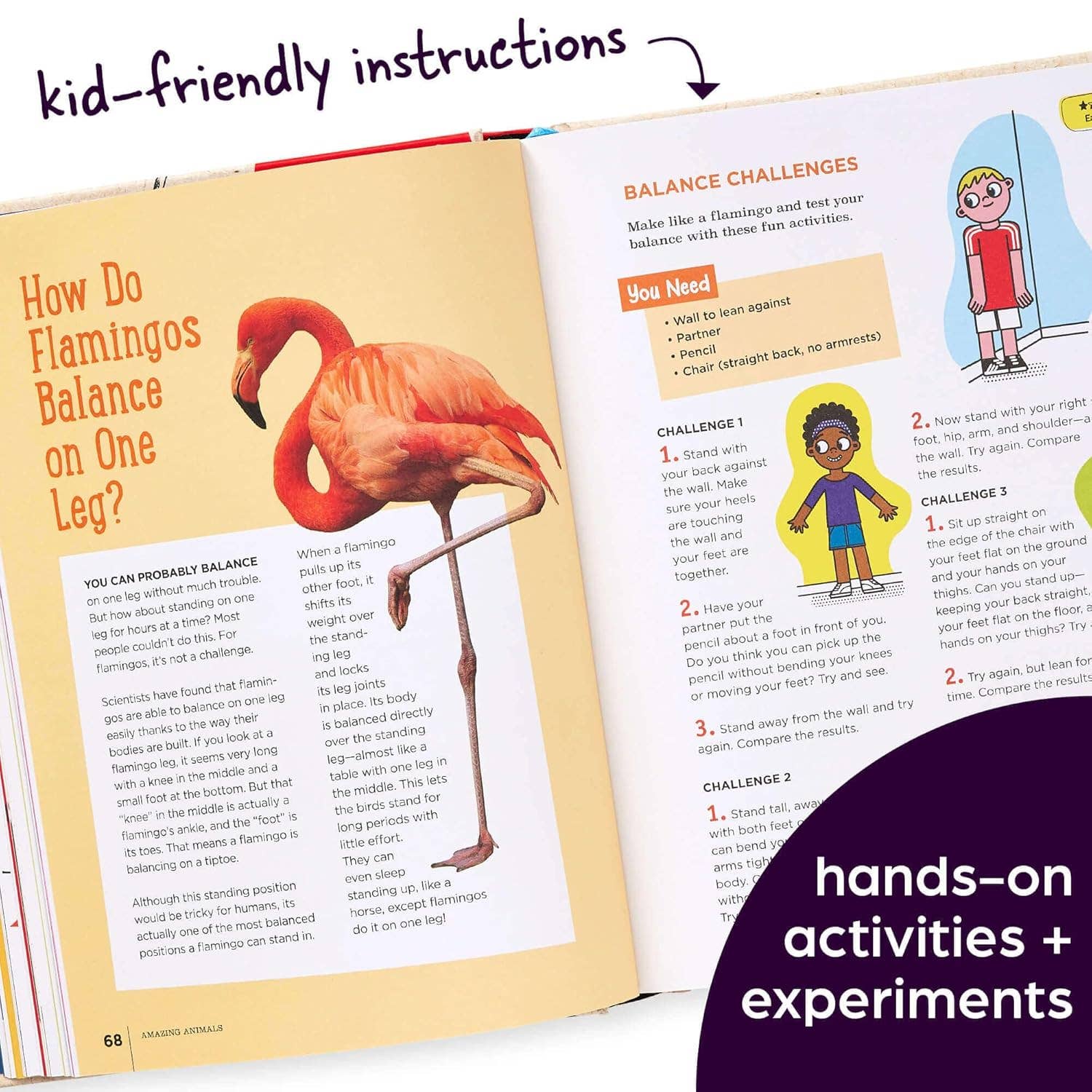 Book of How — Award - Winning Kids’ STEM Book (352 Pages) - Dear John