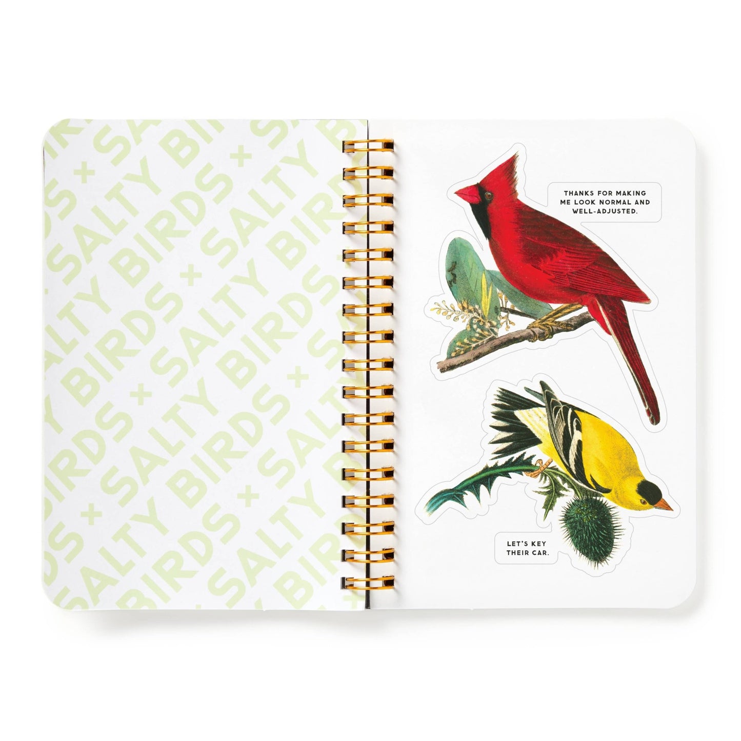 Brass Monkey Salty Birds Sticker Book - Dear John