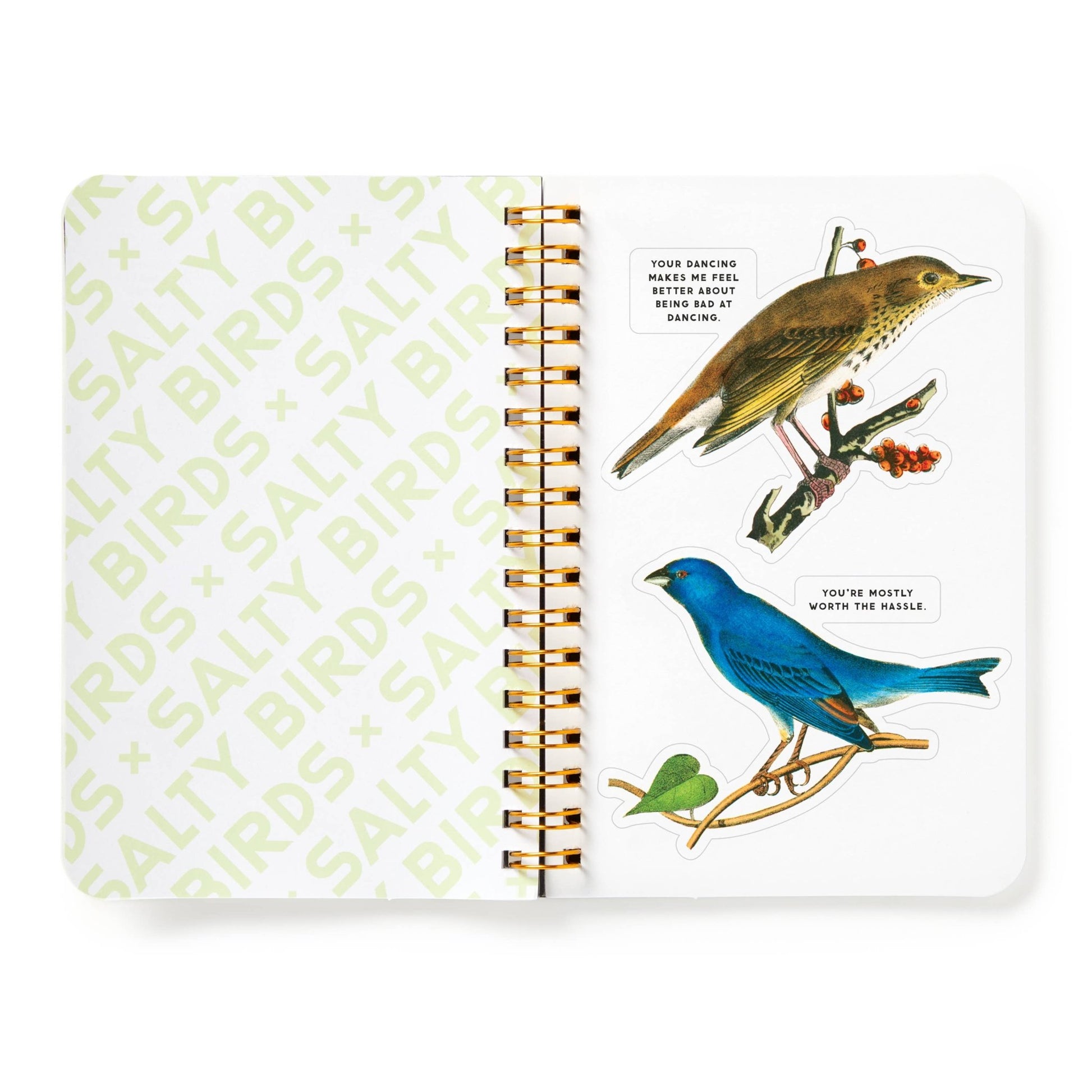 Brass Monkey Salty Birds Sticker Book - Dear John