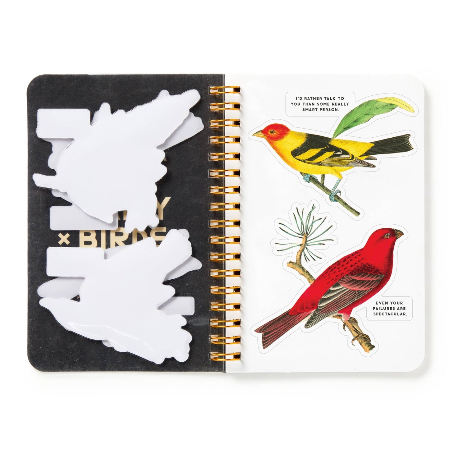 Brass Monkey Salty Birds Sticker Book - Dear John