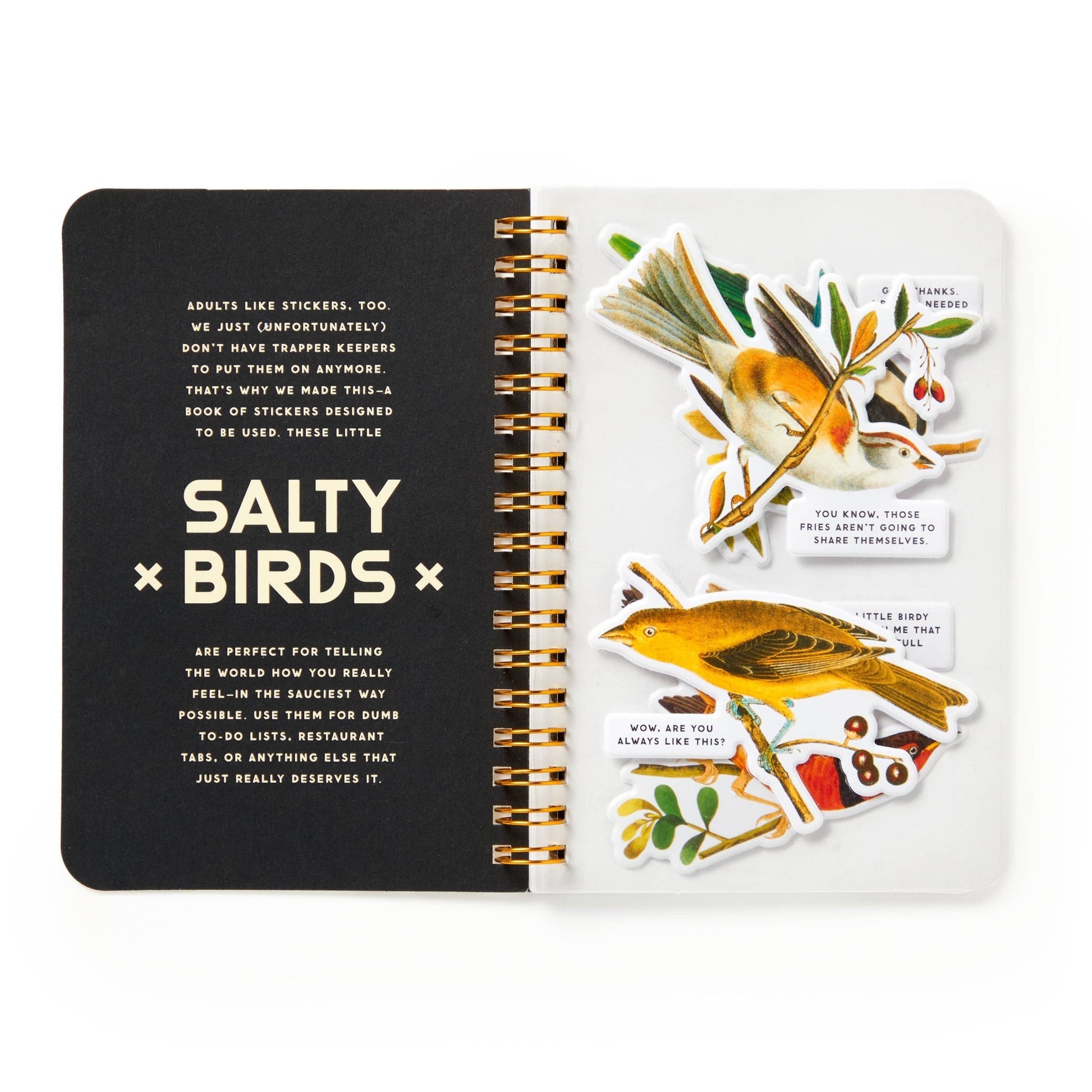 Brass Monkey Salty Birds Sticker Book - Dear John