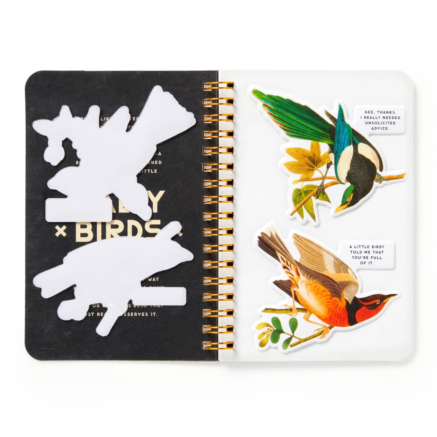 Brass Monkey Salty Birds Sticker Book - Dear John