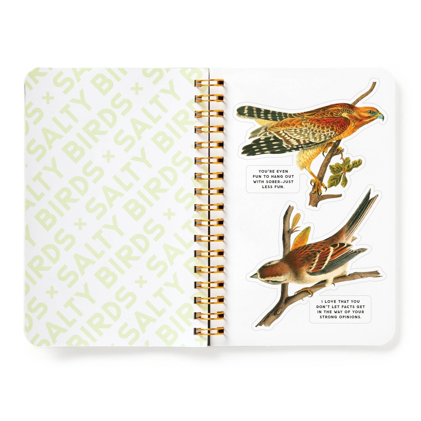 Brass Monkey Salty Birds Sticker Book - Dear John