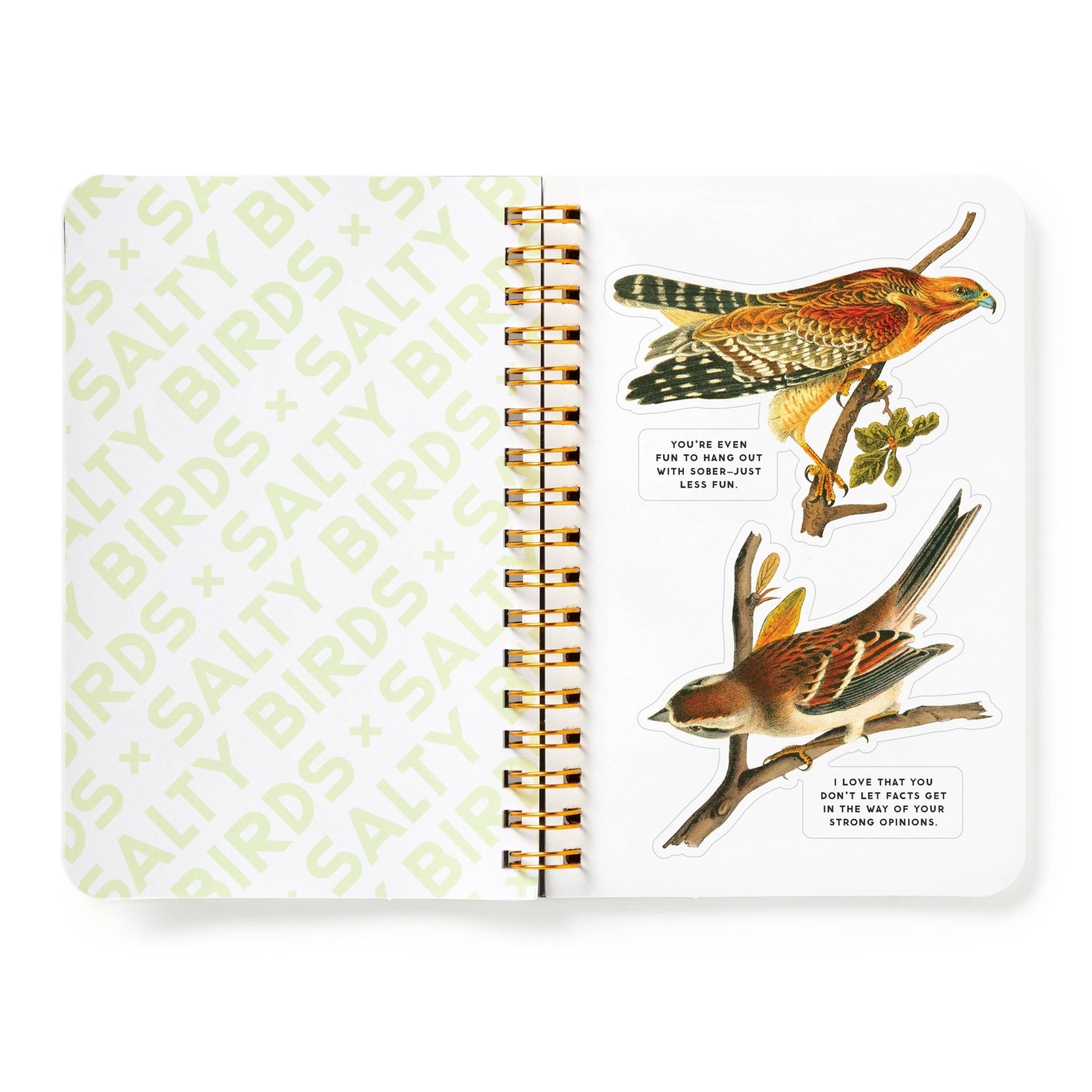 Brass Monkey Salty Birds Sticker Book - Dear John