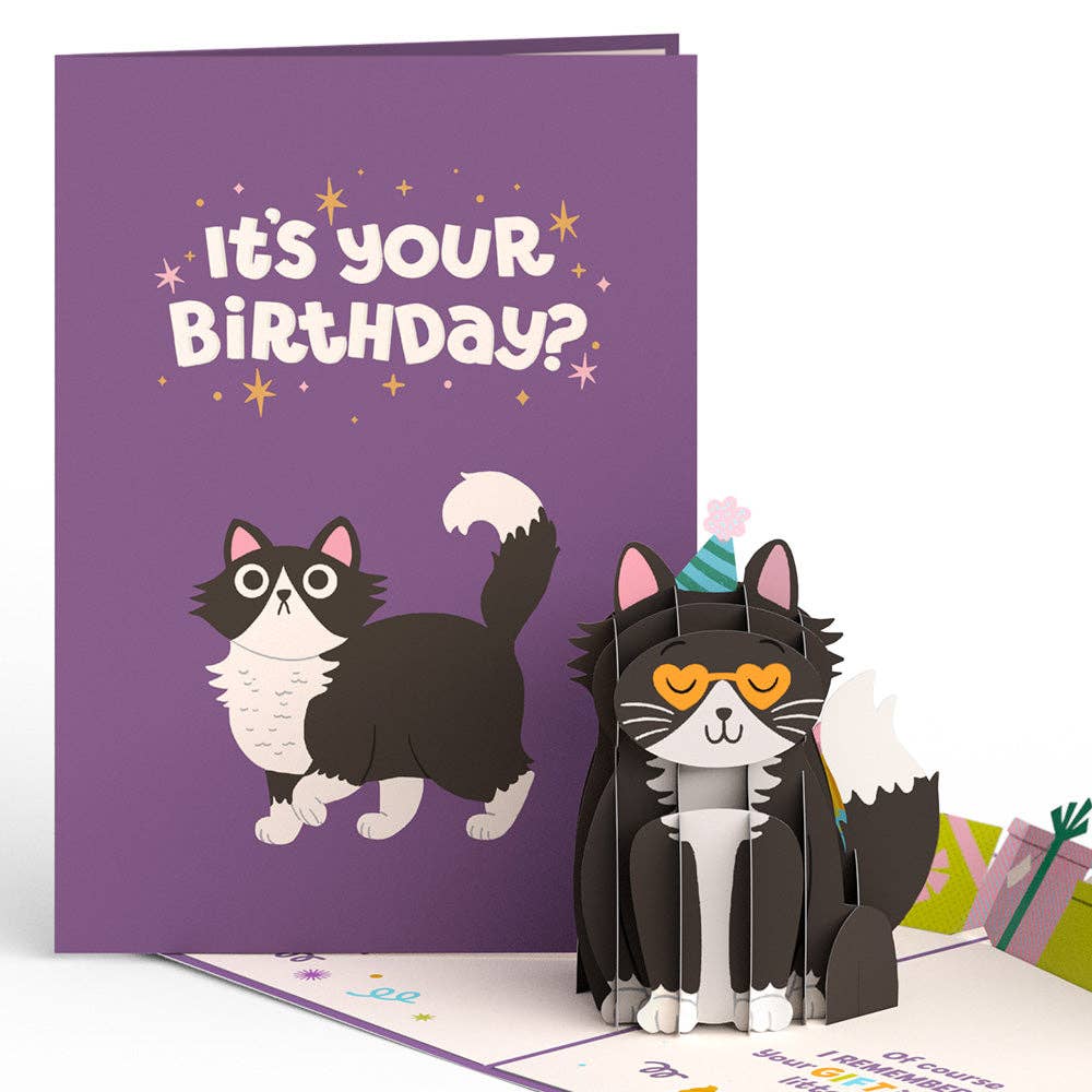 Lovepop Cards - Your Gift Is in the Litterbox Birthday Cat Pop-Up Card 5x7"