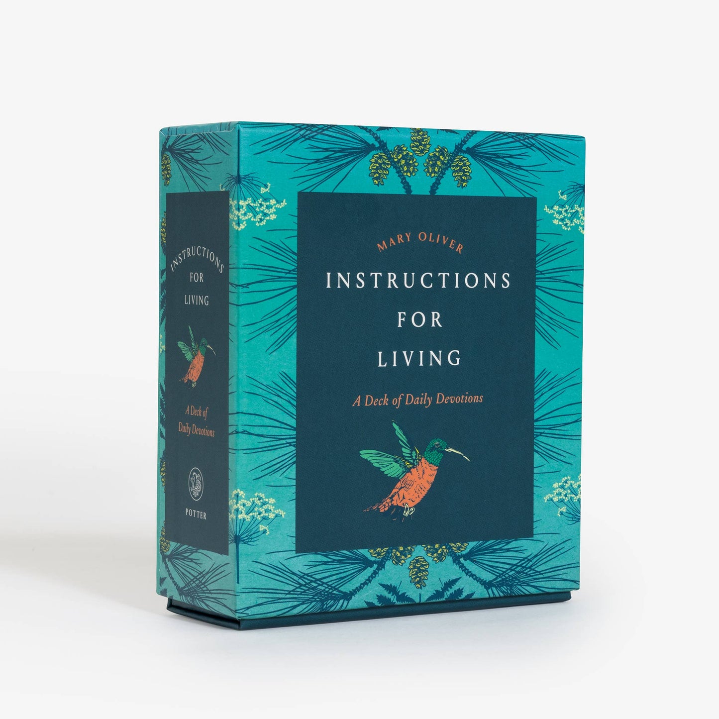 Instructions for Living - Deck