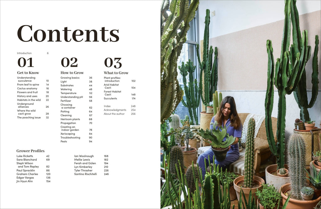 Cacti Succulents - Dear John