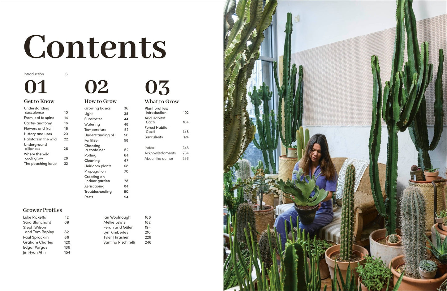Cacti Succulents - Dear John