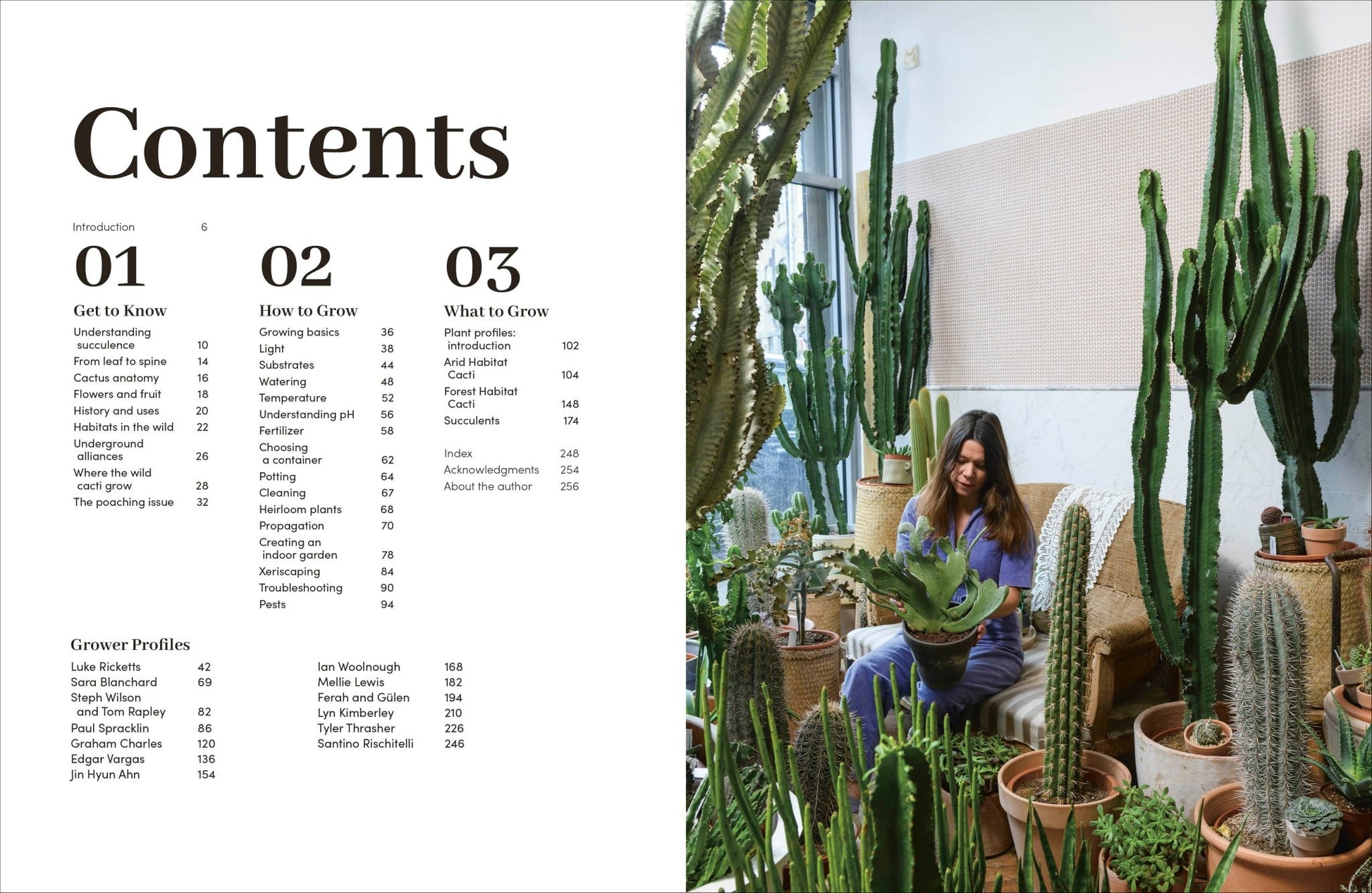 Cacti Succulents - Dear John
