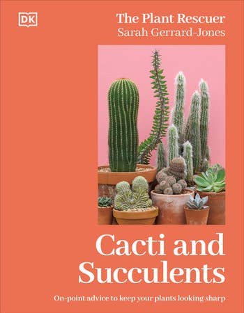 Cacti Succulents - Dear John