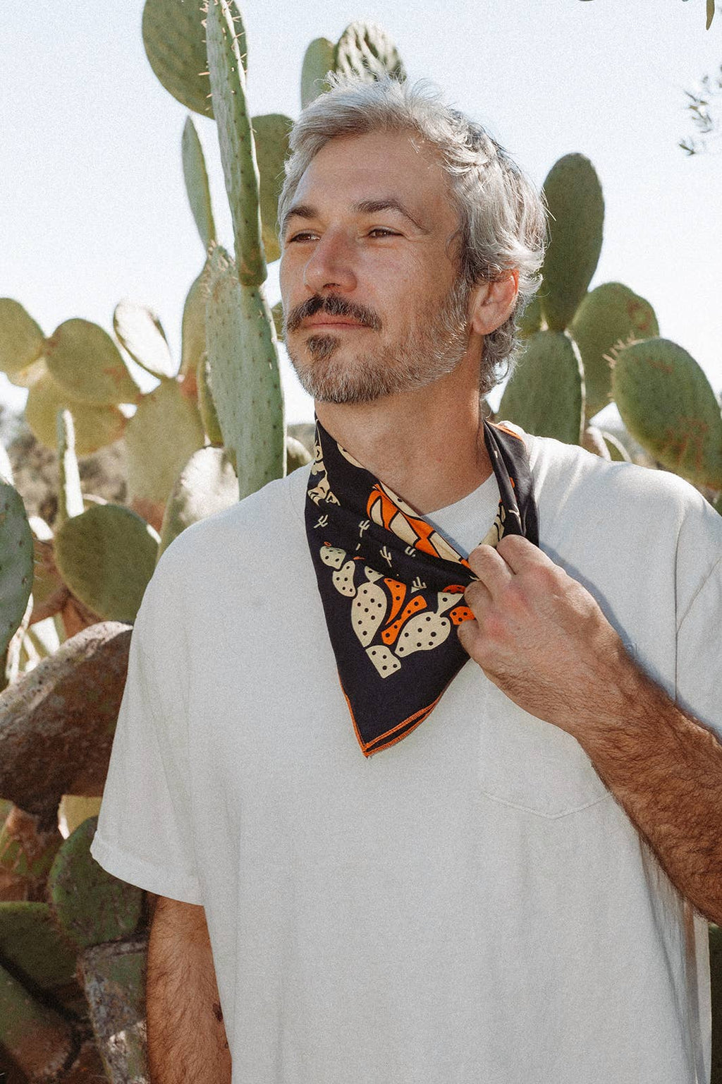 "Cactus Dream" - Dear John