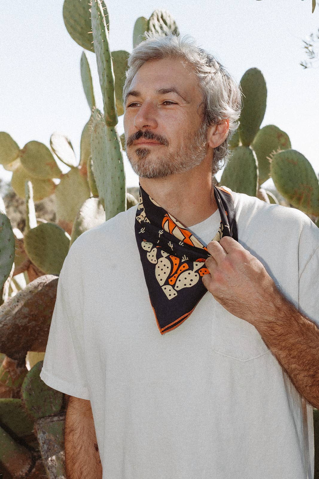 "Cactus Dream" - Dear John