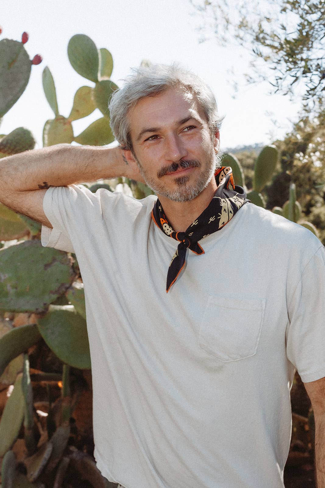 "Cactus Dream" - Dear John