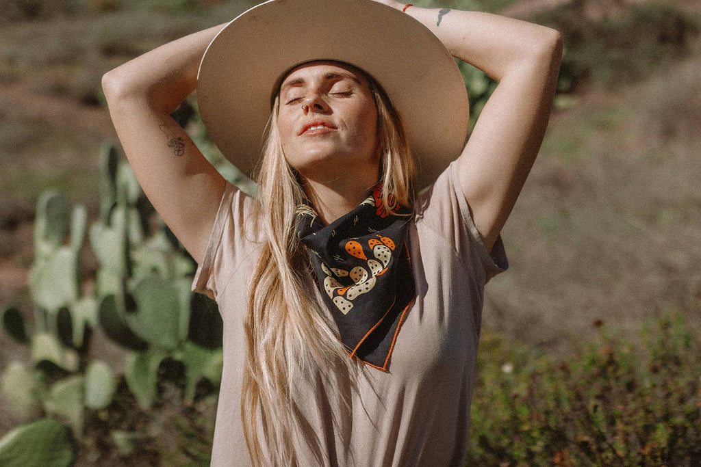 "Cactus Dream" - Dear John