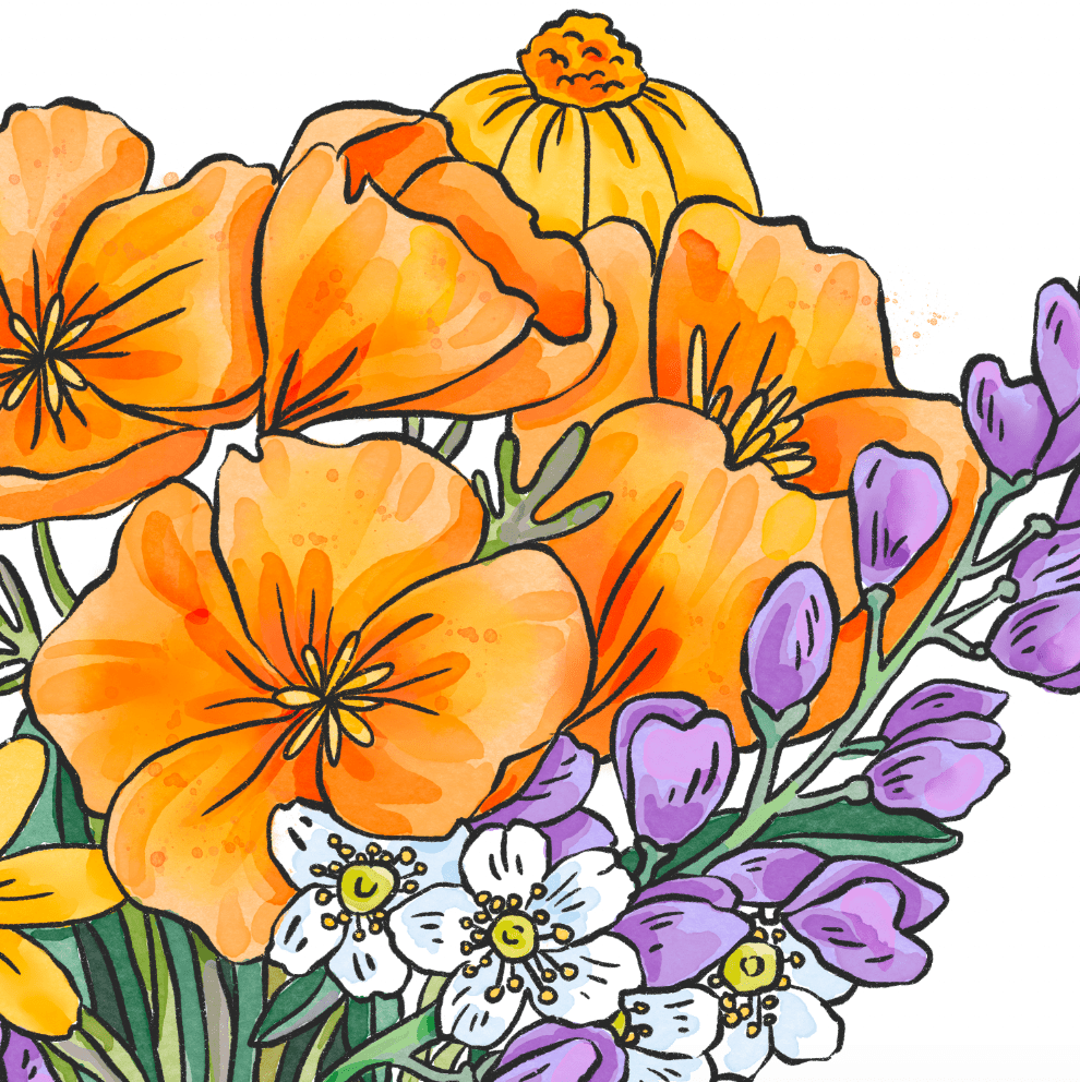 California Native Wildflowers Greeting Card - Dear John