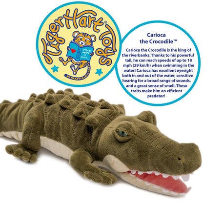 Carioca The Crocodile - 18 Inch Stuffed Animal Plush - Dear John