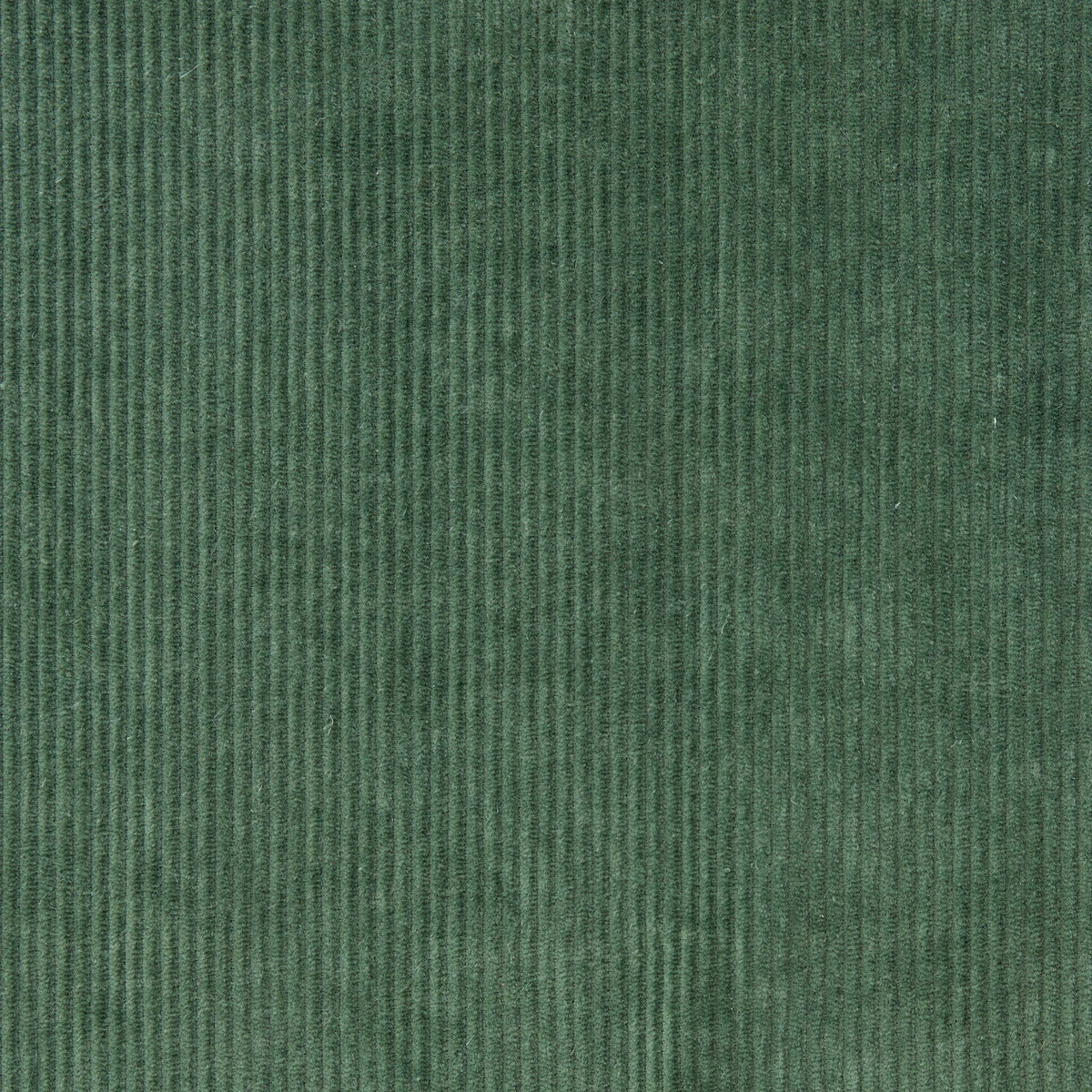 Cascadia Jumper F25 - Dear John