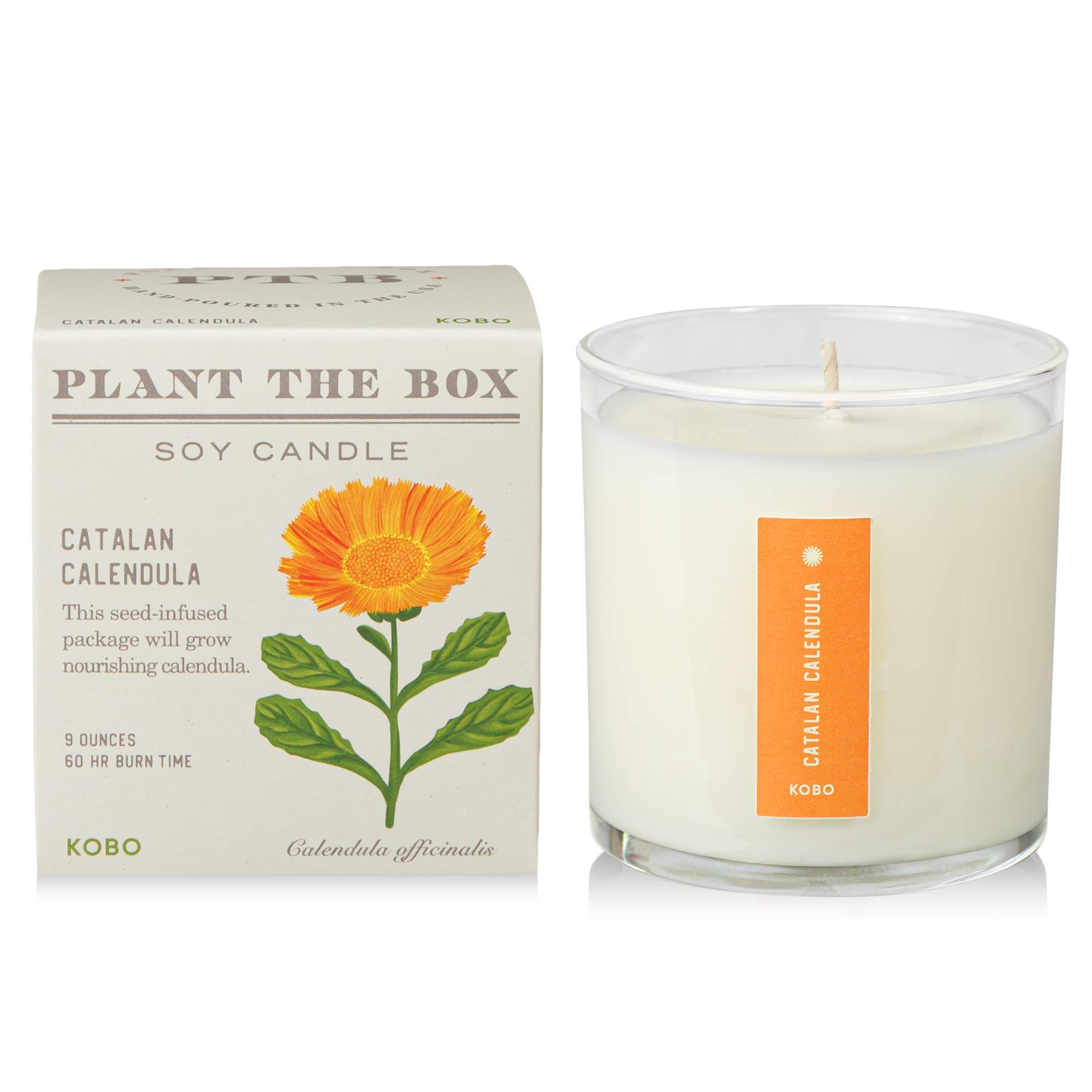 Catalan Calendula - Plant the Box Candle - 9oz. - Dear John