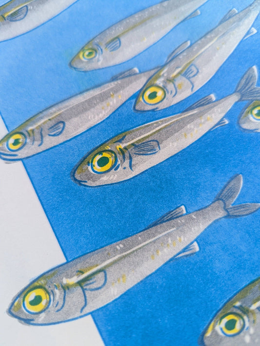 Christina Hu - School of Fish | 8.5"x11" Risograph print - Dear John