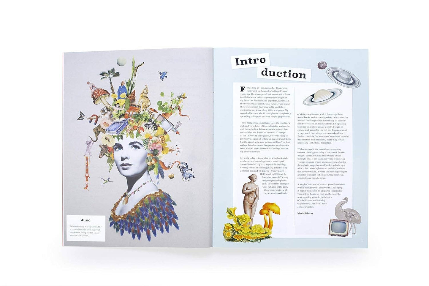 Chronicle Books - Extraordinary Things to Cut Out and Collage - Dear John