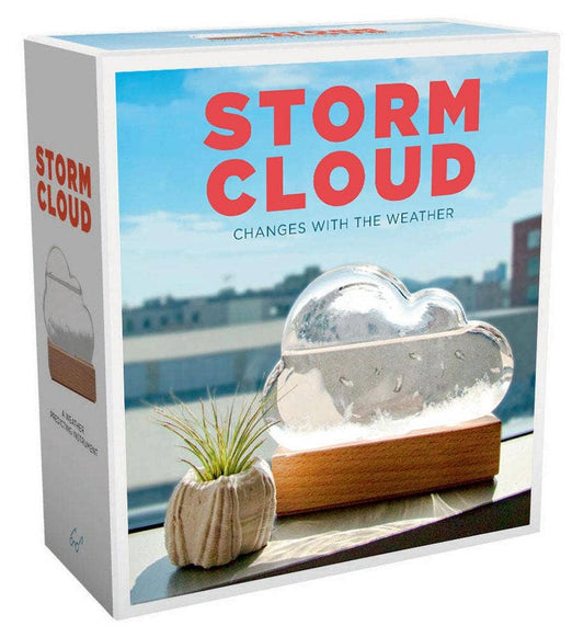Chronicle Books - Storm Cloud - Dear John