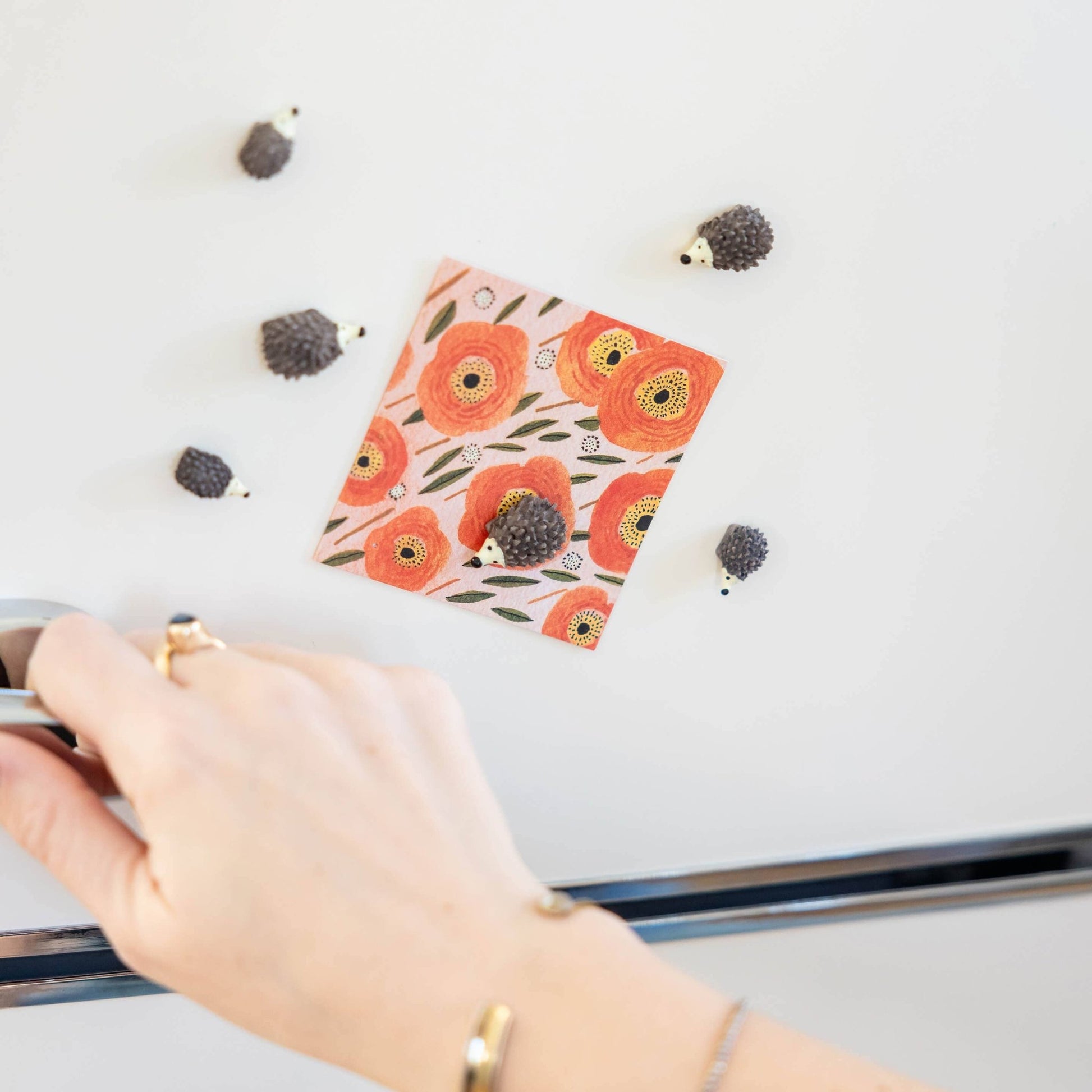 Colorful hedgehog magnets - Dear John