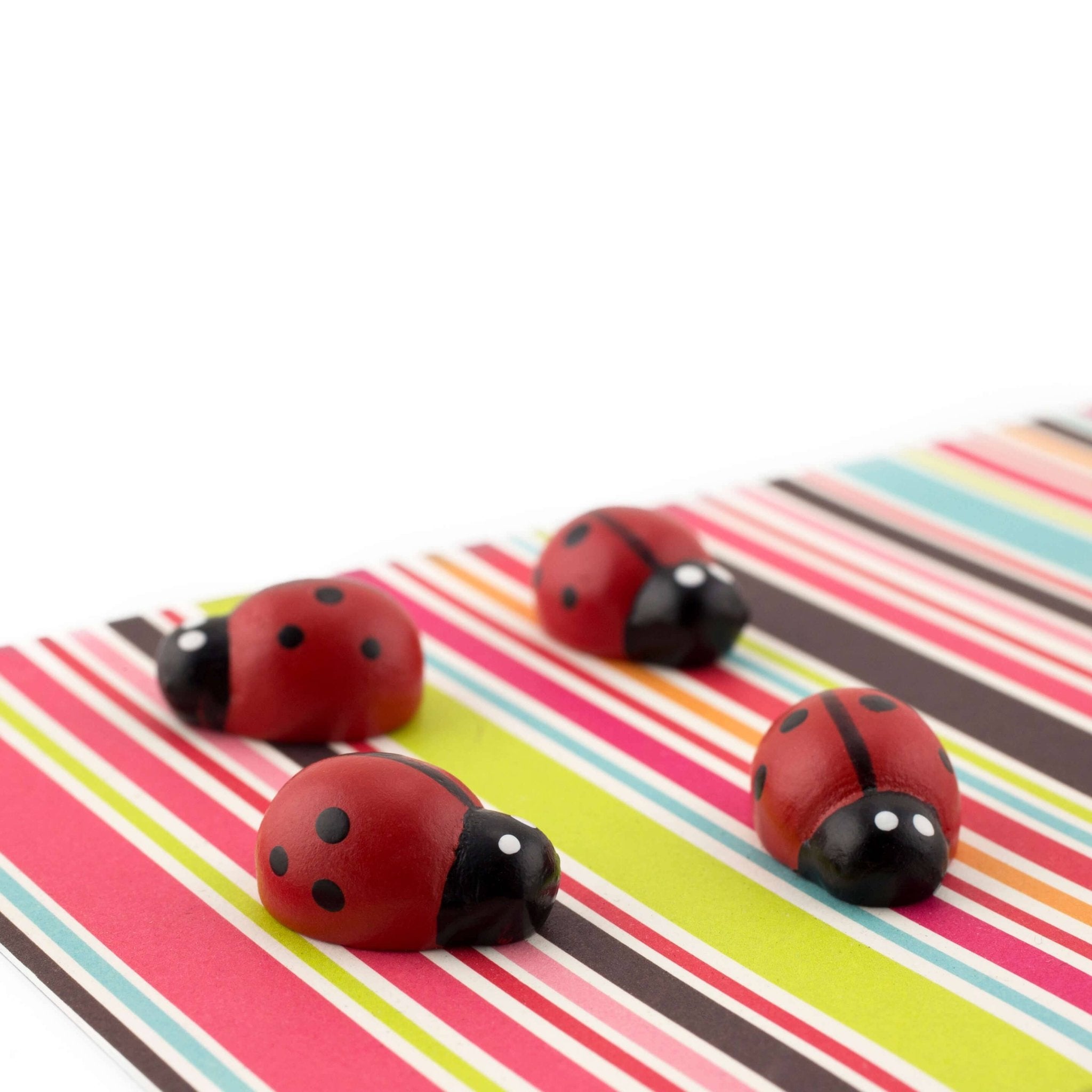 Colorful ladybug magnets - Dear John