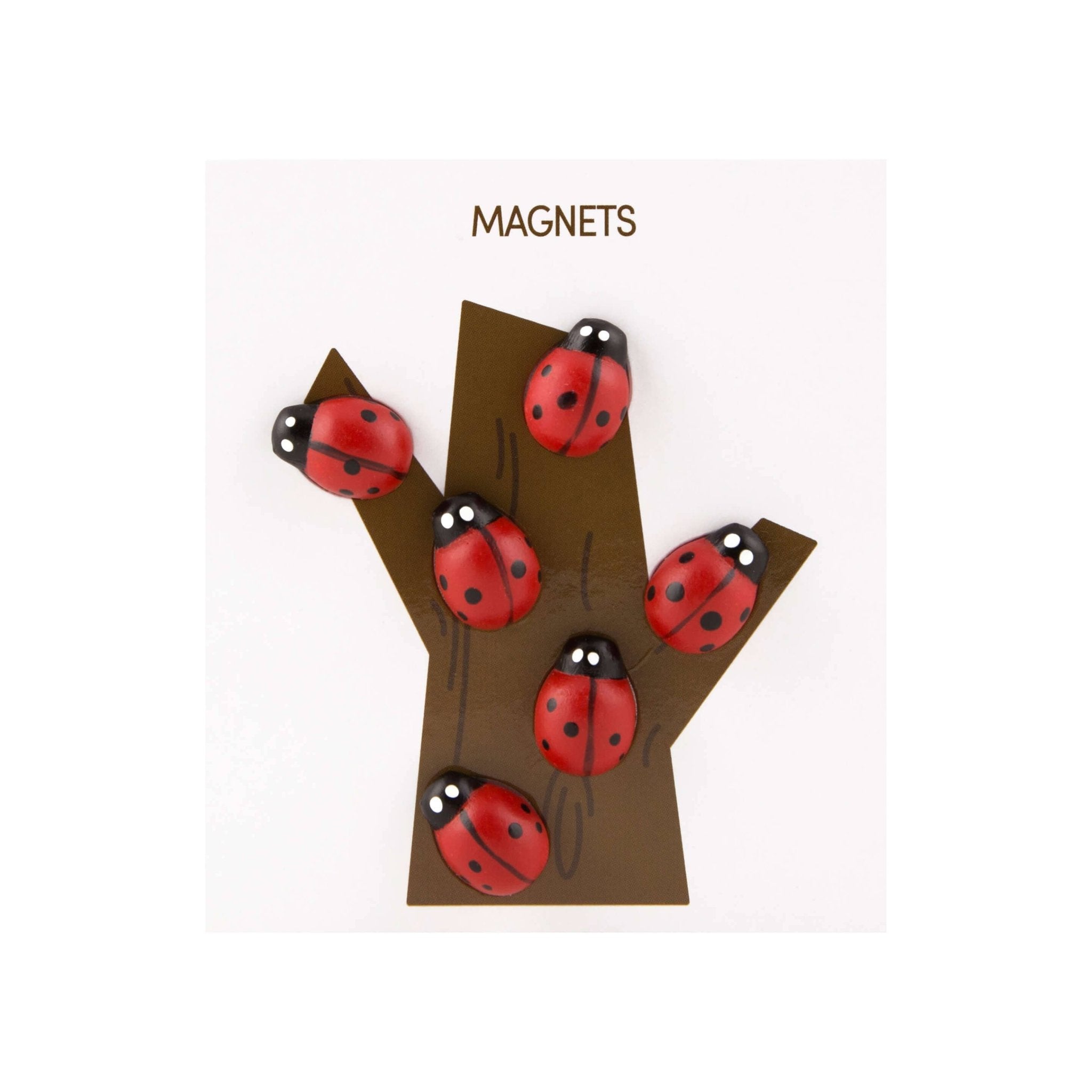 Colorful ladybug magnets - Dear John