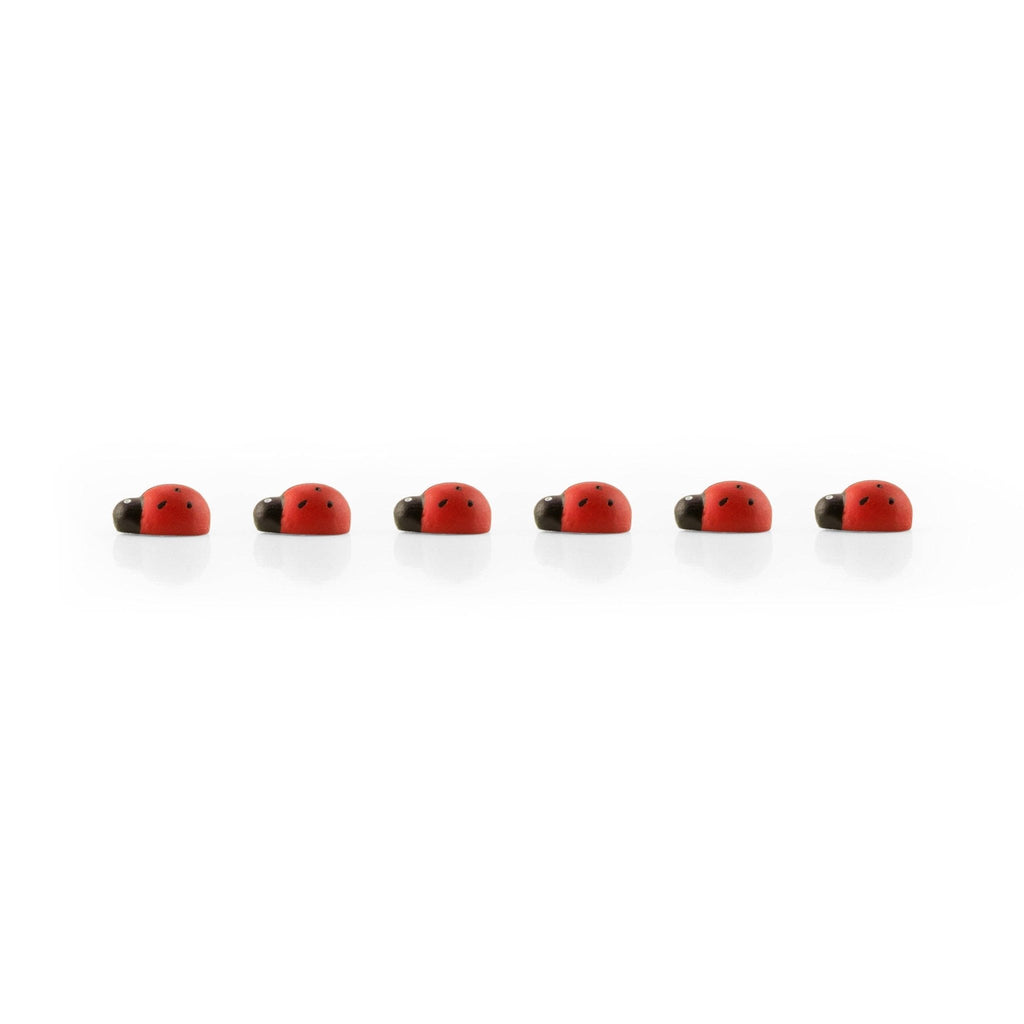 Colorful ladybug magnets - Dear John