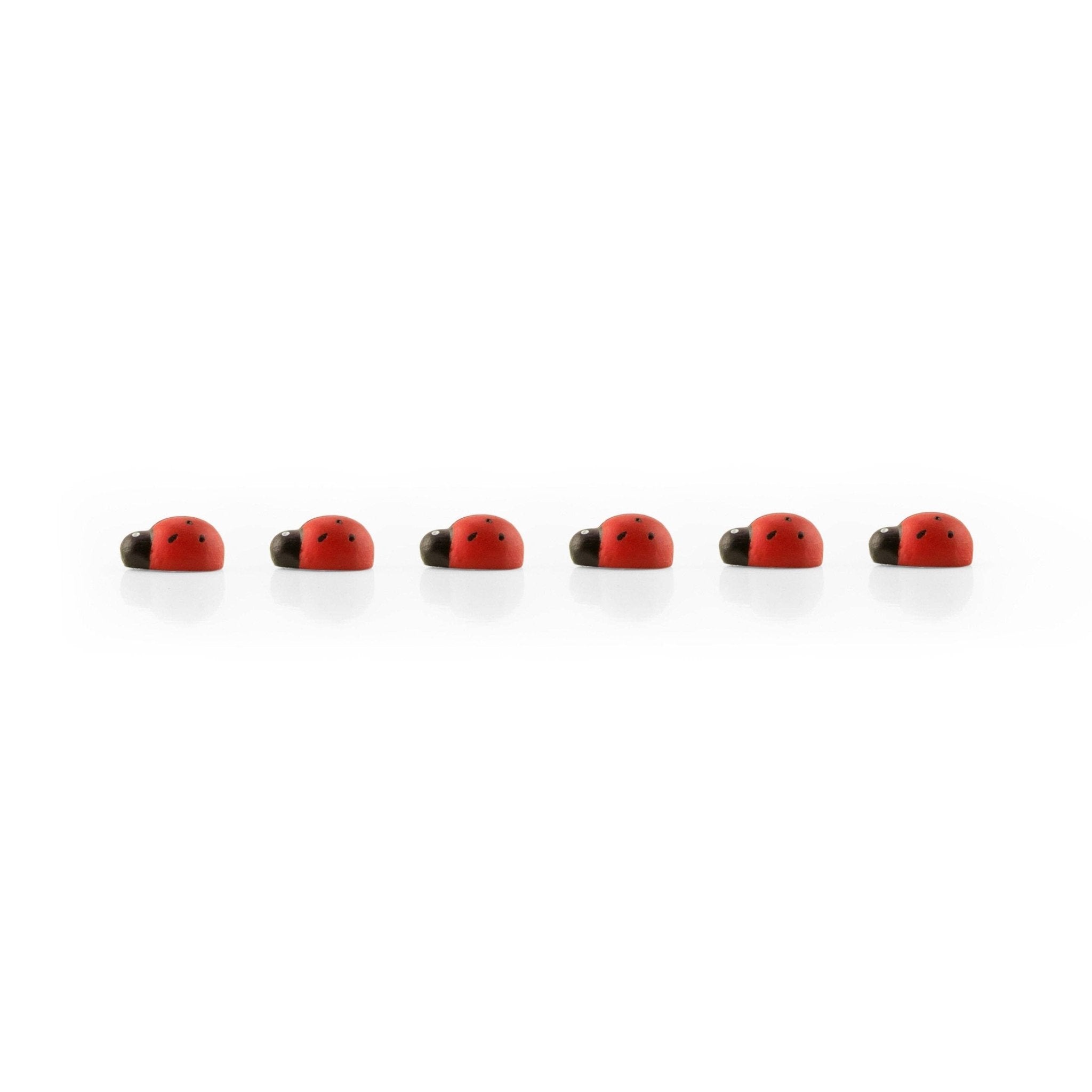 Colorful ladybug magnets - Dear John