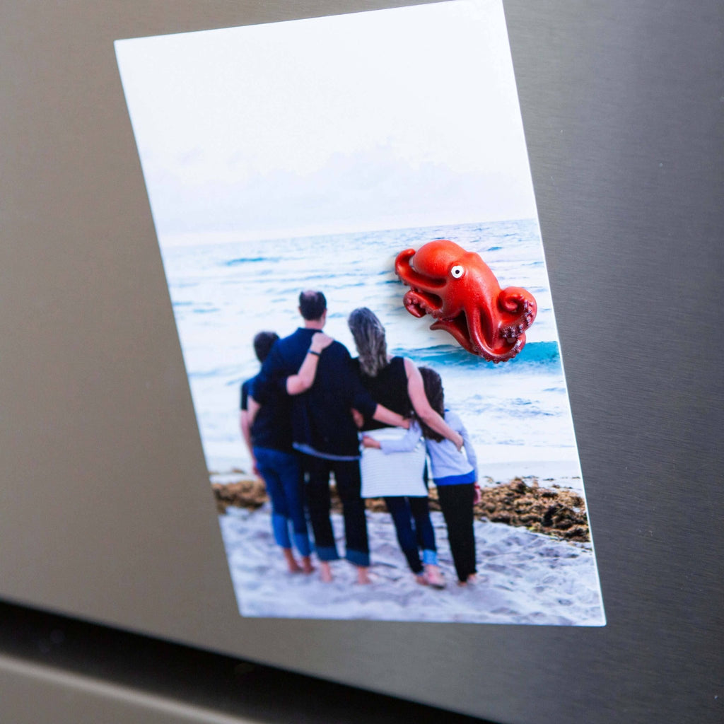 Colorful OCTOPUS magnets s/4 - Dear John