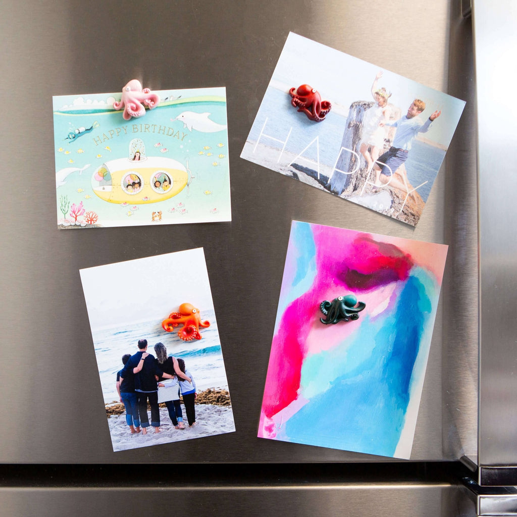 Colorful OCTOPUS magnets s/4 - Dear John
